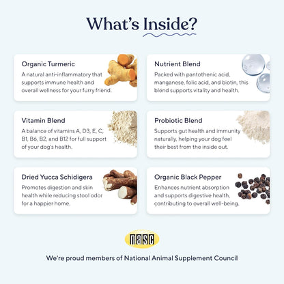 Pawfy Probiotics for Dogs | Supports Digestive Health, Diarrhea for Small, Large Dogs | Improves Gut Health | Anti Yeast Supplements | Skin Health Seasonal Allergies Support - 30 Chews (Bacon)