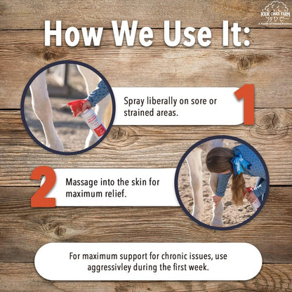 Natural Release Muscle Spray Treatment - Horse Liniment for Sore Muscles, Joint Pain, Tendon & Inflammation Relief - Easy to Use, Fast Acting, Alcohol & Menthol Free (1 Gal)