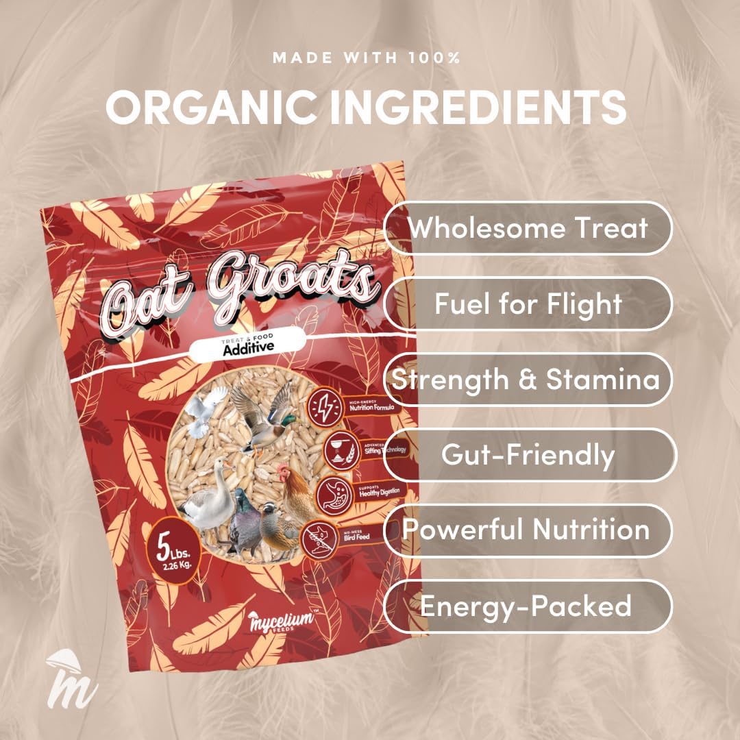 Mycelium Organic Oat Groats for Birds (5 LB Bag) | Clean, Non-GMO Grain Treat or Food Additive | Debris & Dust-Free Advanced Sifting | Ideal for Small Pet & Ground-Feeding Wildlife Birds | Made in USA