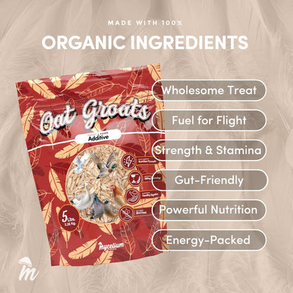 Mycelium Organic Oat Groats for Birds (5 LB Bag) | Clean, Non-GMO Grain Treat or Food Additive | Debris & Dust-Free Advanced Sifting | Ideal for Small Pet & Ground-Feeding Wildlife Birds | Made in USA