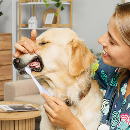 TEHAUX Electric Doggie Toothbrush with Soft Bristles, Puppy Toothpaste Brush for Small Dogs - Pet Puppy Portable Design Electric Brush with Replacement Head Travel Use - Batteries Not Included