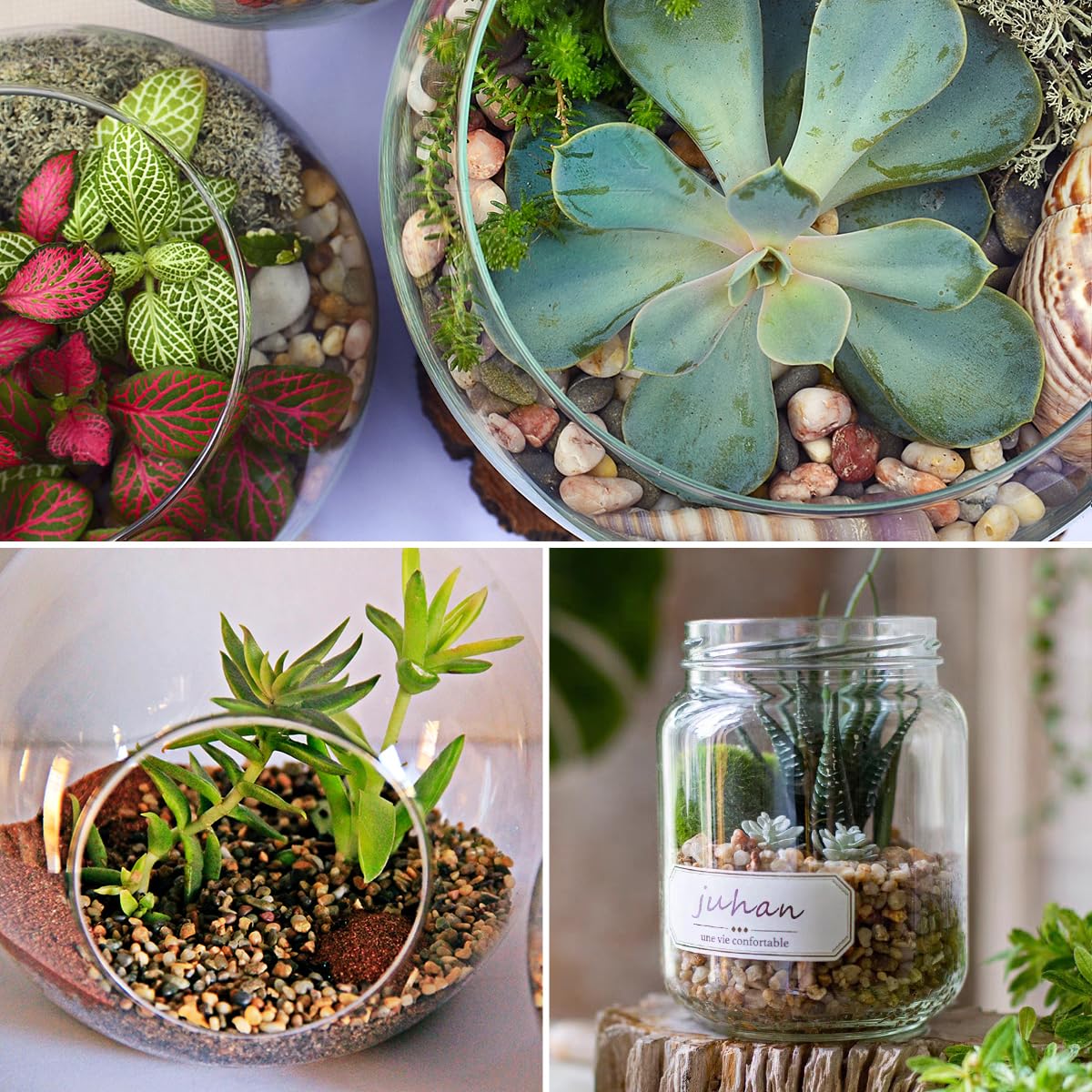 5LB Aquarium Gravel, 1/4" Pea Gravel for Fish Tank, Small River Rocks for Garden Decoration, Landscaping, Vase Filling, Flower Pot Paving(4-8MM)