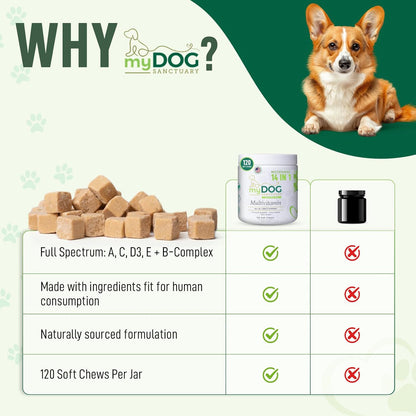 14 in 1- Multivitamin for Dogs 120 Chews - Daily Support for Active & Aging Dogs Vitamin A, D3, E, C, and B-Complex for Joint, Skin, Coat, Immune - Dog Multivitamins, Bacon Flavor