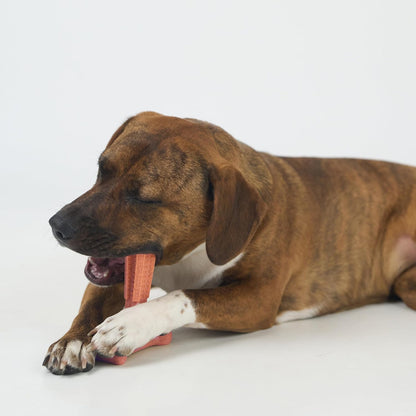 SPOT Bam-Bones Plus T Bone – Bamboo Fiber & Nylon Dog Chew Toy for Moderate to Aggressive Chewers, Durable Long Lasting & Non-Splintering, Beef Flavor Toy for Adult Dogs & Puppies Under 60 lbs, 6 in