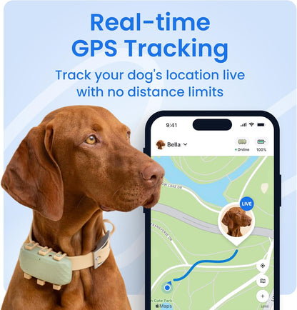 Tractive XL Smart Dog GPS Tracker | Live Pet Tracker with Virtual Fence | Vital Signs Monitoring of Heart & Respiratory Rate | Up to 1-Month Battery Life | Dog Collar Attachment (Green)