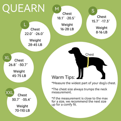 2 Packs Breathable Cotton Dog Recovery Suit for After Neuter Spay Abdominal Wounds Protector, Professional Anti-Licking Onesies for Male Female Pets Surgery Bandages, XL Blue & Green Stripes