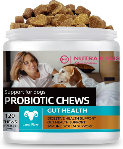 Probiotic Chews for Dogs, Natural Gut Health Support, 120 Soft Chews, Lamb Flavor, 300g