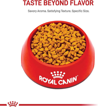 Royal Canin Feline Health Nutrition Spayed/Neutered Kitten Dry Cat Food, 2.5 lb Bag