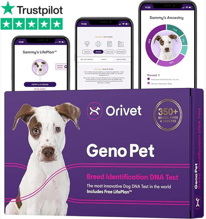 ORIVET GenoPet Dog DNA Test Kit | Vet-Approved | Identify 365+ Dog Breeds | Canine Ancestry & Genetic Health Traits | at-Home Swab | Results in 21–25 Days from Kit Arrival