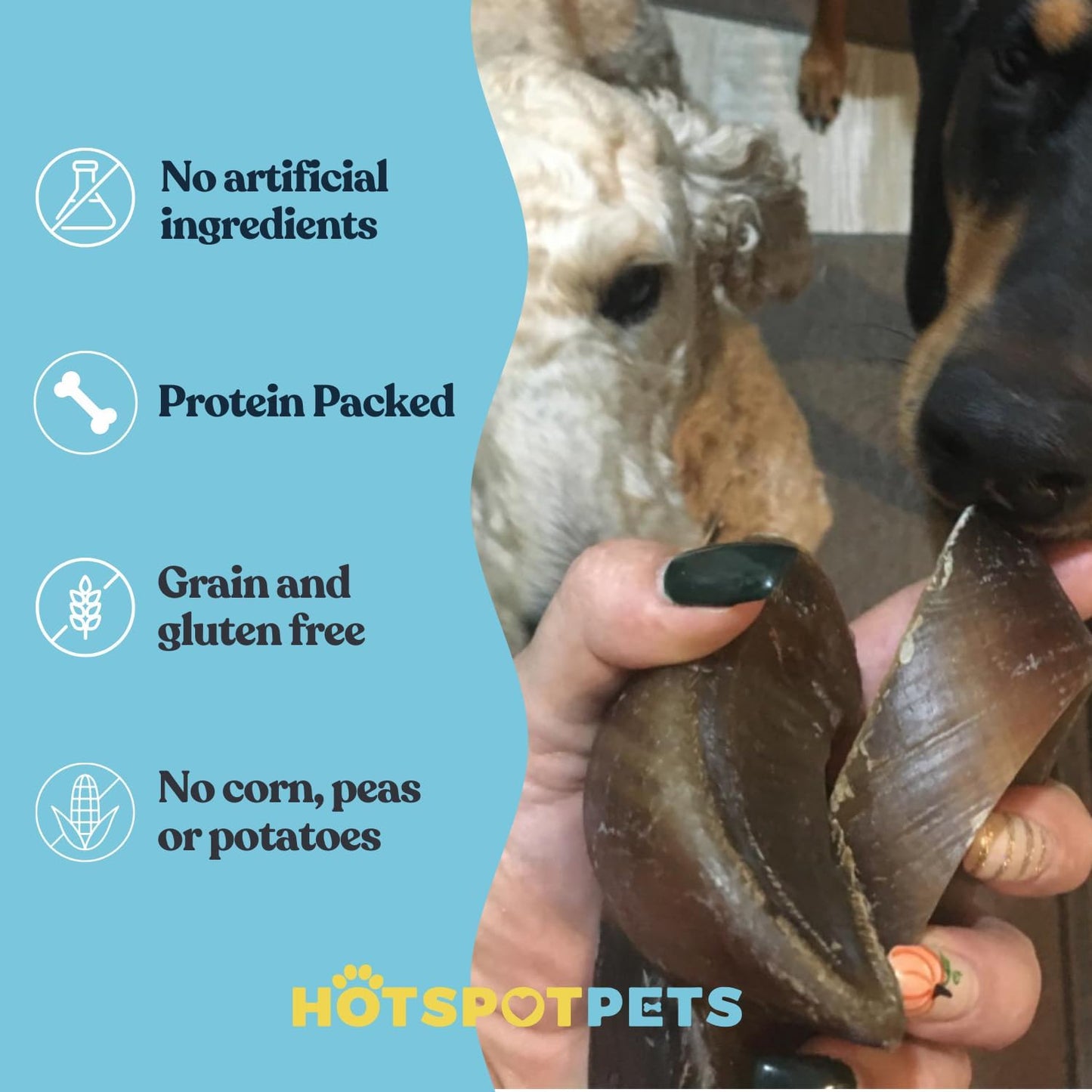 Full-Size Cow Hooves for Dogs (25 Pack) | All-Natural Long Lasting Dog Chews | Made from Grass Fed Cattle | Tasty Treat for Oral Hygiene | Fantastic Alternative for Rawhide and Bully Sticks