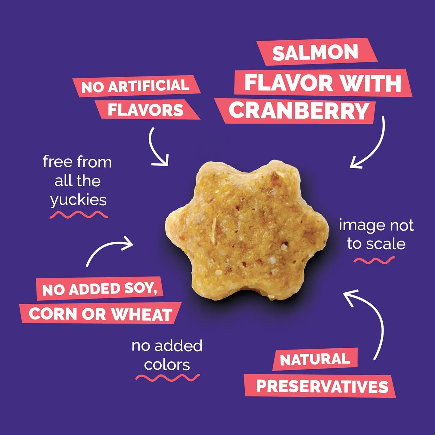 Fruitables Cat Treats Crunchy Cat Treats, Healthy Low Calorie Kitten Snacks, Made Without Wheat, Corn and Soy, Kitten Essentials, Made with Real Salmon and Cranberry, 30 Ounces