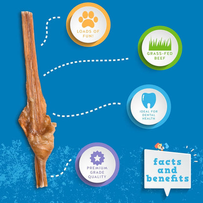 Jack&Pup 6 Inch Bladder Bully Sticks for Small Dogs (5 Pack) Single Ingredient Dog Treats, Puppy Chew Sticks