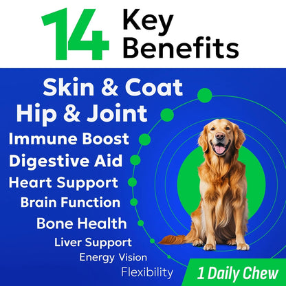 BARK&SPARK Dog Vitamins & Supplements - Multivitamin Chewable Treats for Dogs - Glucosamine Chondroitin for Joint Support + Omega for Skin & Coat + Probiotics - Multi Vitamin for Pets Health - 60Ct