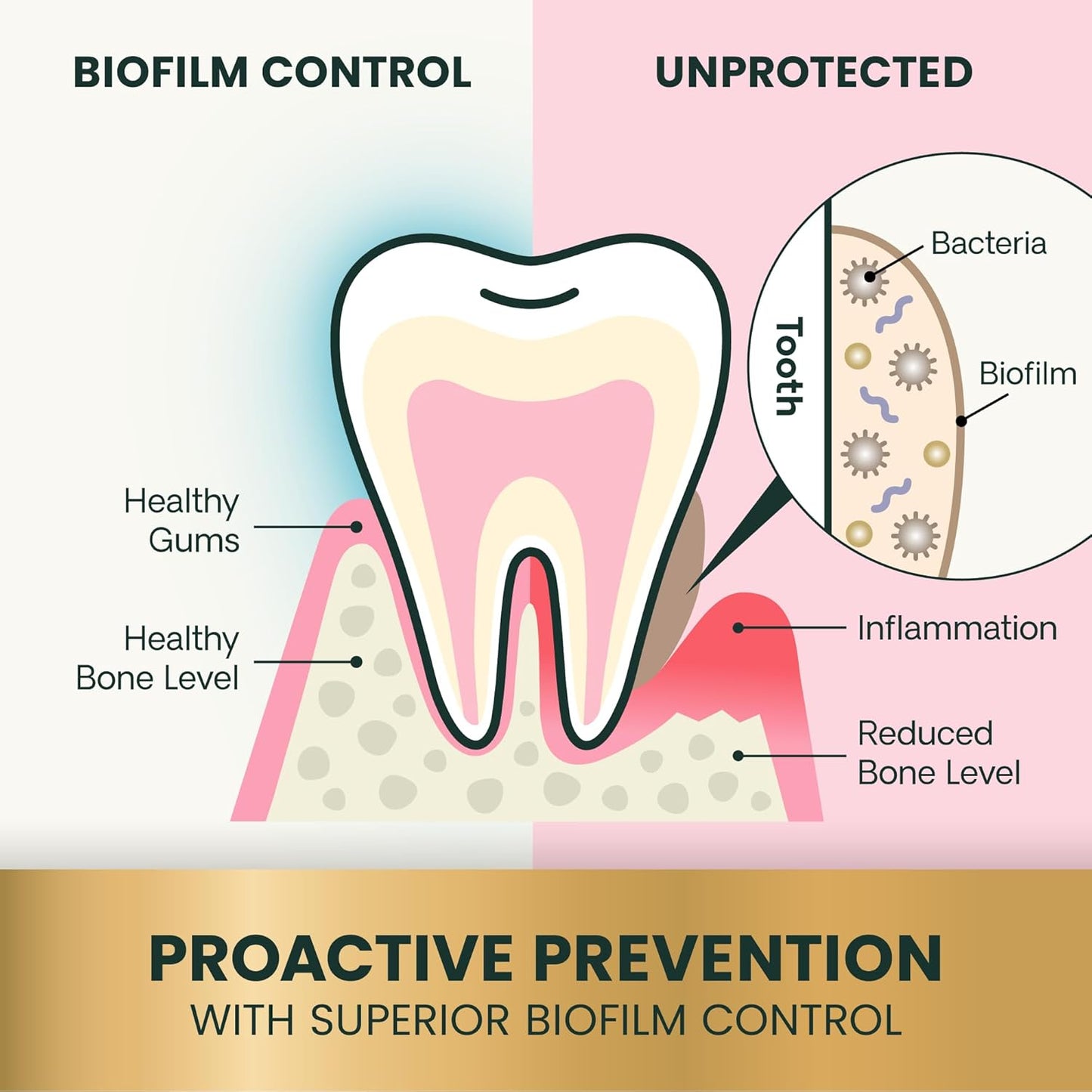VetriScience Perio Plus Cat Teeth Cleaning Bites - Advanced Cat Breath Freshener - Dual Action Cat Dental Care Formula for Plaque Control & Fresh Breath, 60 Chews, Chicken Flavor