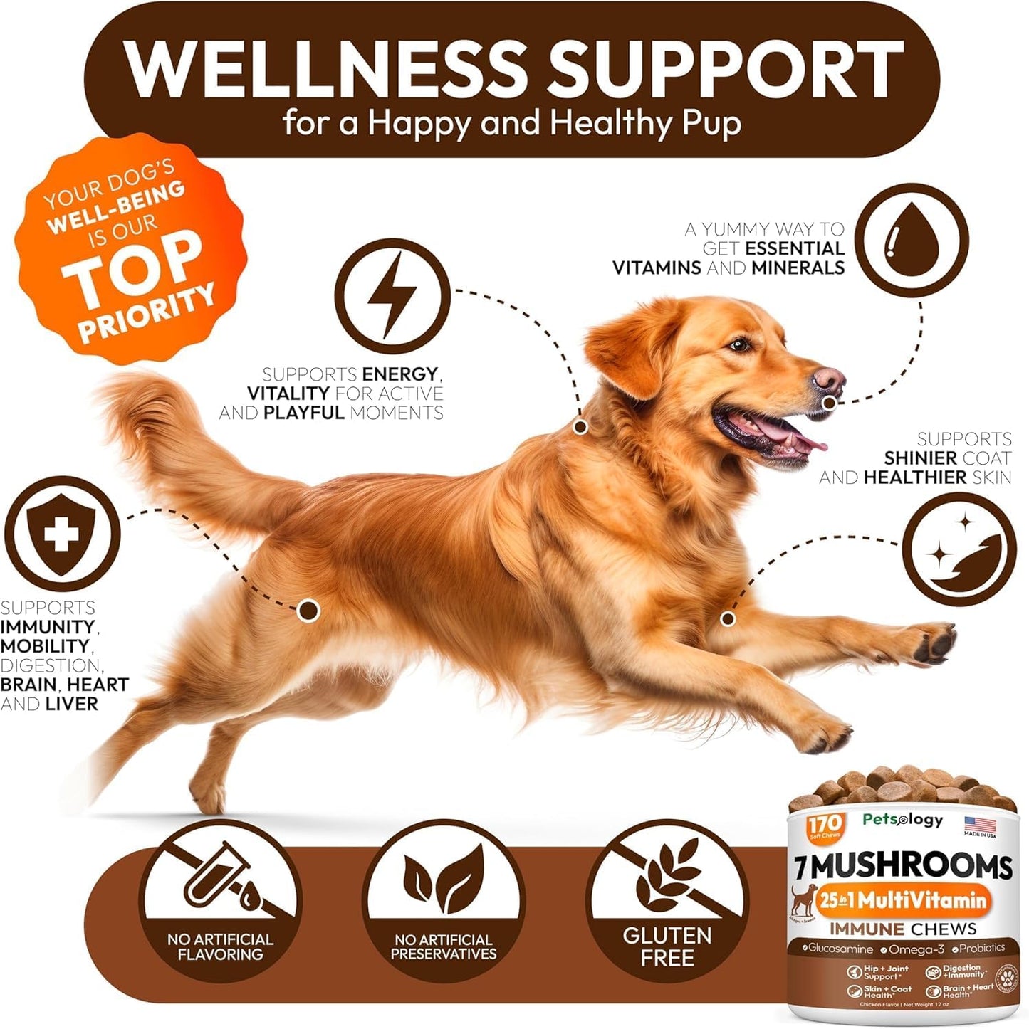 Turkey Tail Mushroom for Dogs - 170 Chews - Lion’s Mane - Shiitake - Reishi - Buddy Immune Support Guard - Mushroom Supplement for Dogs Lumps and Bumps Glucosamine, Health Vitamins Multivitamin