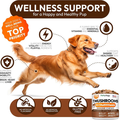 Turkey Tail Mushroom for Dogs - 170 Chews - Lion’s Mane - Shiitake - Reishi - Buddy Immune Support Guard - Mushroom Supplement for Dogs Lumps and Bumps Glucosamine, Health Vitamins Multivitamin