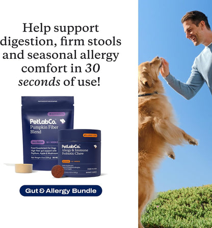 PetLab Co – Gut & Allergy Bundle: Pumpkin Powder Blend for Firm Stools & Healthy Digestion & Allergy & Immune Probiotic Soft Chews to Support Immune Response