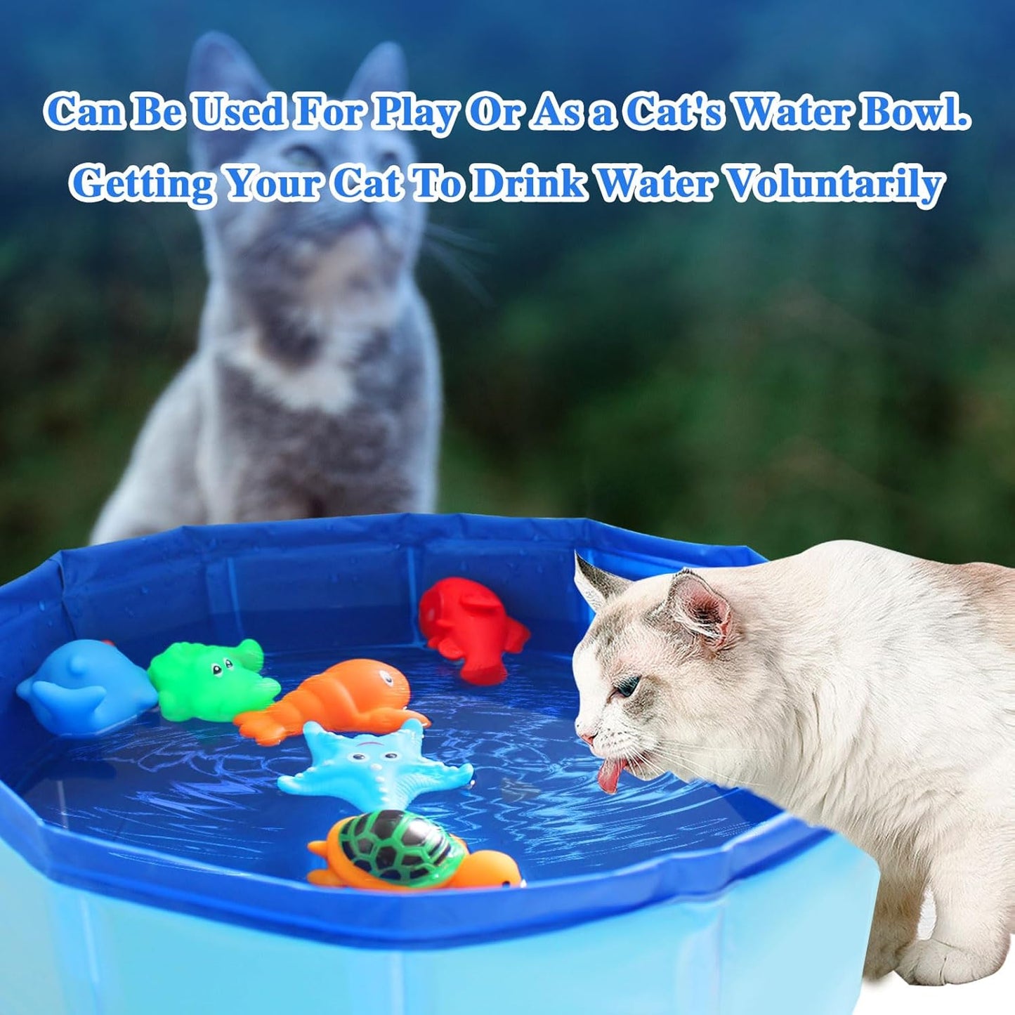 Obfuscate Cat Pool Toy,Portable Cat Water Toy with Interactive Fish Toys,Engaging Interactive Cat Toys for Indoor Cats,6 PCS Blue Set for Bored Cats