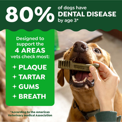 Greenies Veterinarian-Recommended Adult Natural Dental Dog Treats Petite Size, Original Flavor, 36 oz. Pack, 60 Count