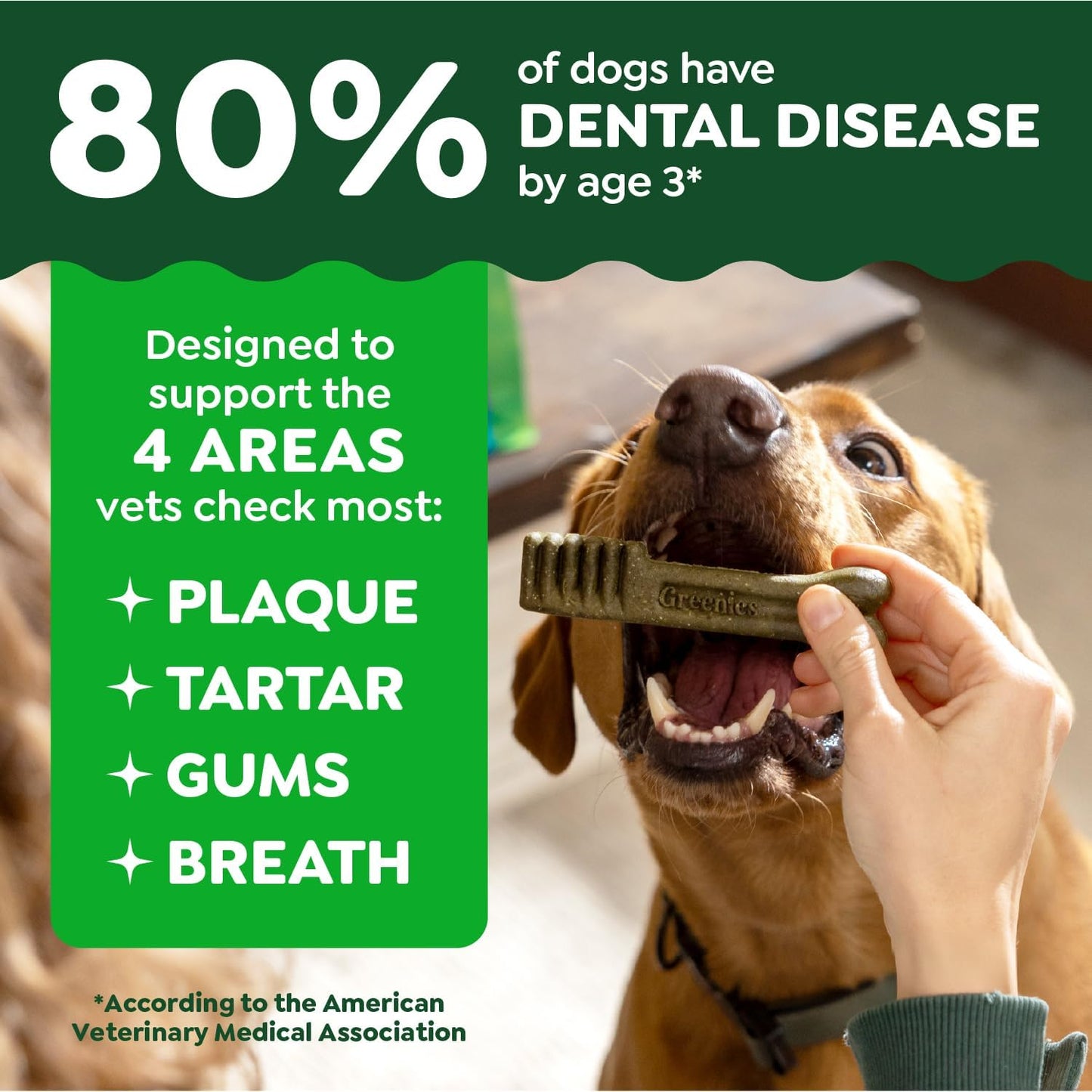 Greenies Veterinarian-Recommended Adult Natural Dental Dog Treats Petite Size, Original Flavor, 36 oz. Pack, 60 Count