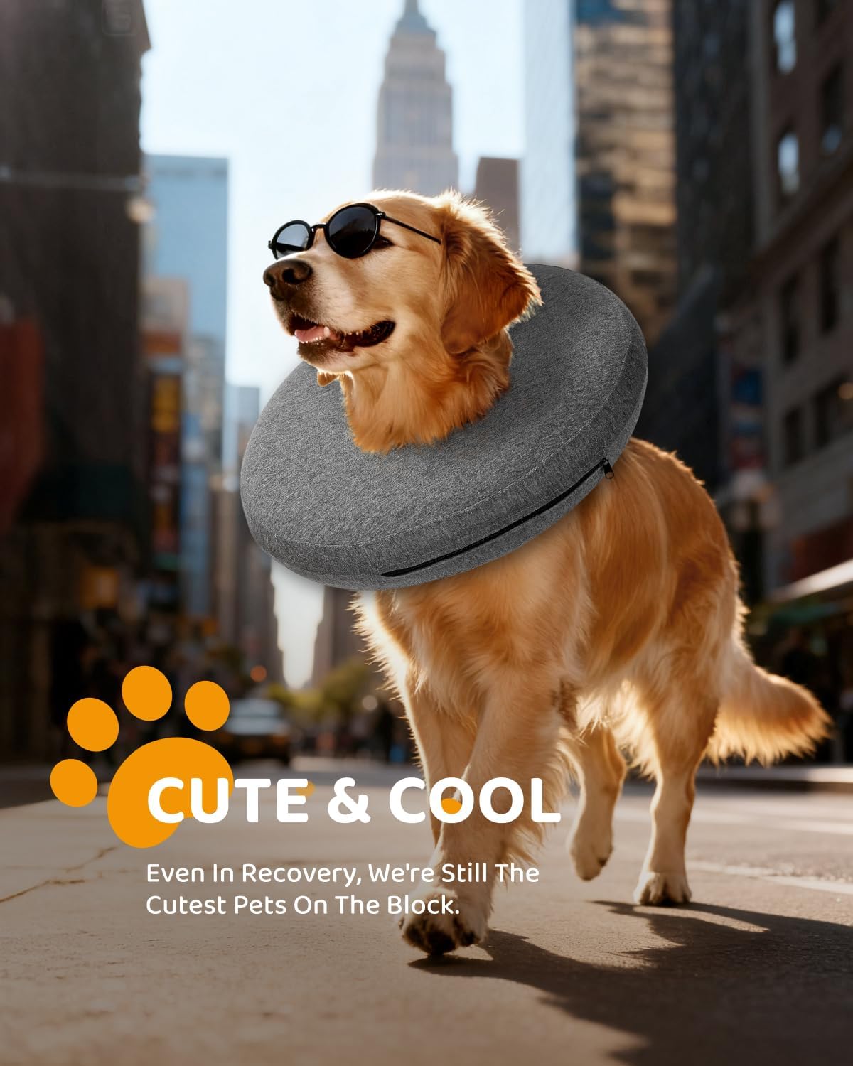 MIDOG Inflatable Dog Cone Collar – Soft Dog Cone Alternative After Surgery, Comfortable Recovery Neck Donut ECollar for Small Medium & Large Dogs and Cats to Stop Licking & Vision-Friendly (Grey,XL)