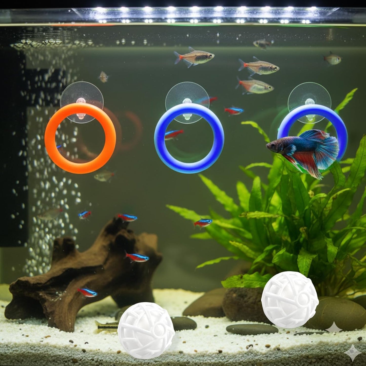 8 Pcs Betta Fish Toys, 4Pcs Betta Fish Tank Accessories and Turtle Toys for Aquatic Turtles with 4 Filter Balls (40mm), Aquarium Training Feeding Ring