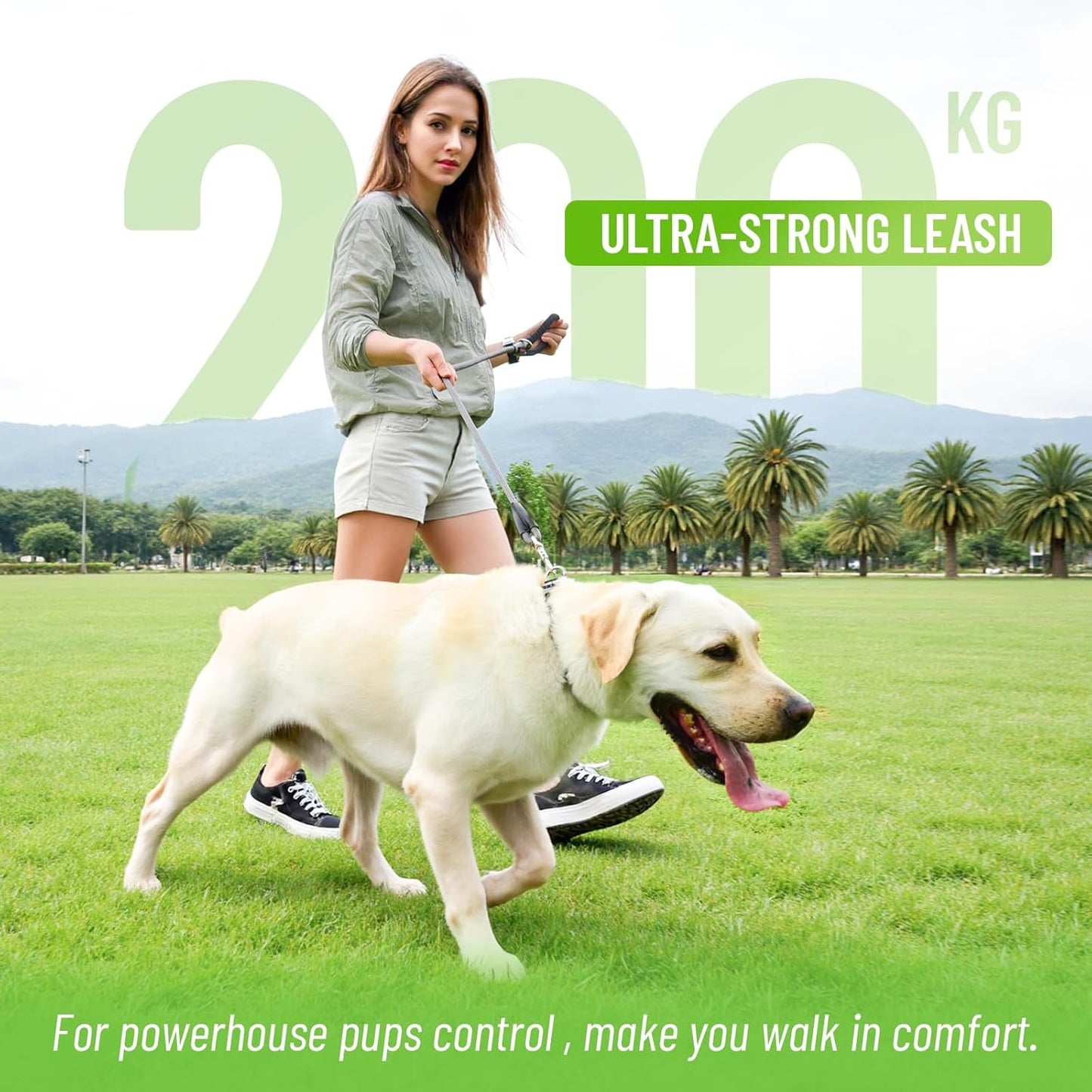 Black Heavy Duty Reflective Nylon Dog Leash with 200kg Pull Control, Padded No-Slip Handle & Zinc Alloy Lock for Medium to Large Dogs & Large Breeds, Ideal for Night Walking & Daily Training