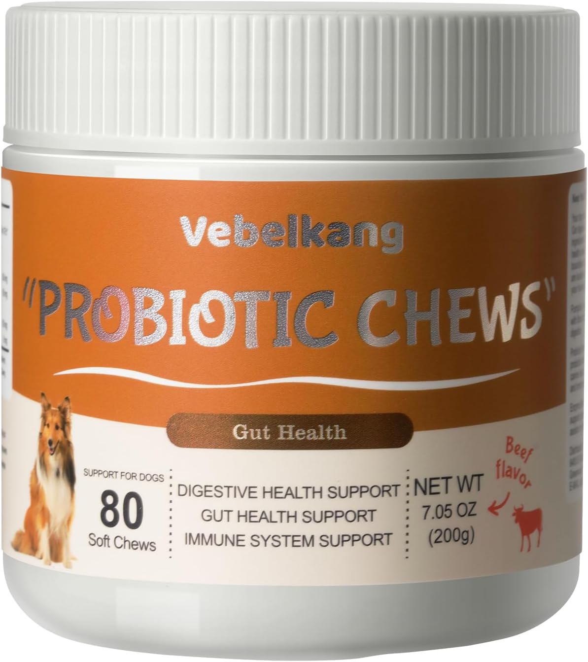 Probiotics for Dogs Digestive Health - 6B CFU, Prebiotics & Enzymes, Beef Flavor, Relief for Diarrhea, Gas, Upset Stomach & Allergic Itchy Skin (160Ct)