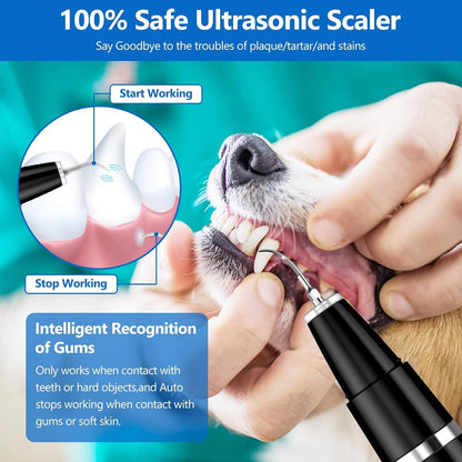 Plaque Remover for Teeth - Pet Ultrasonic Cleaner - Teeth Cleaning Kit for Tartar and Stains - Suitable for Dogs and Cats (Black)