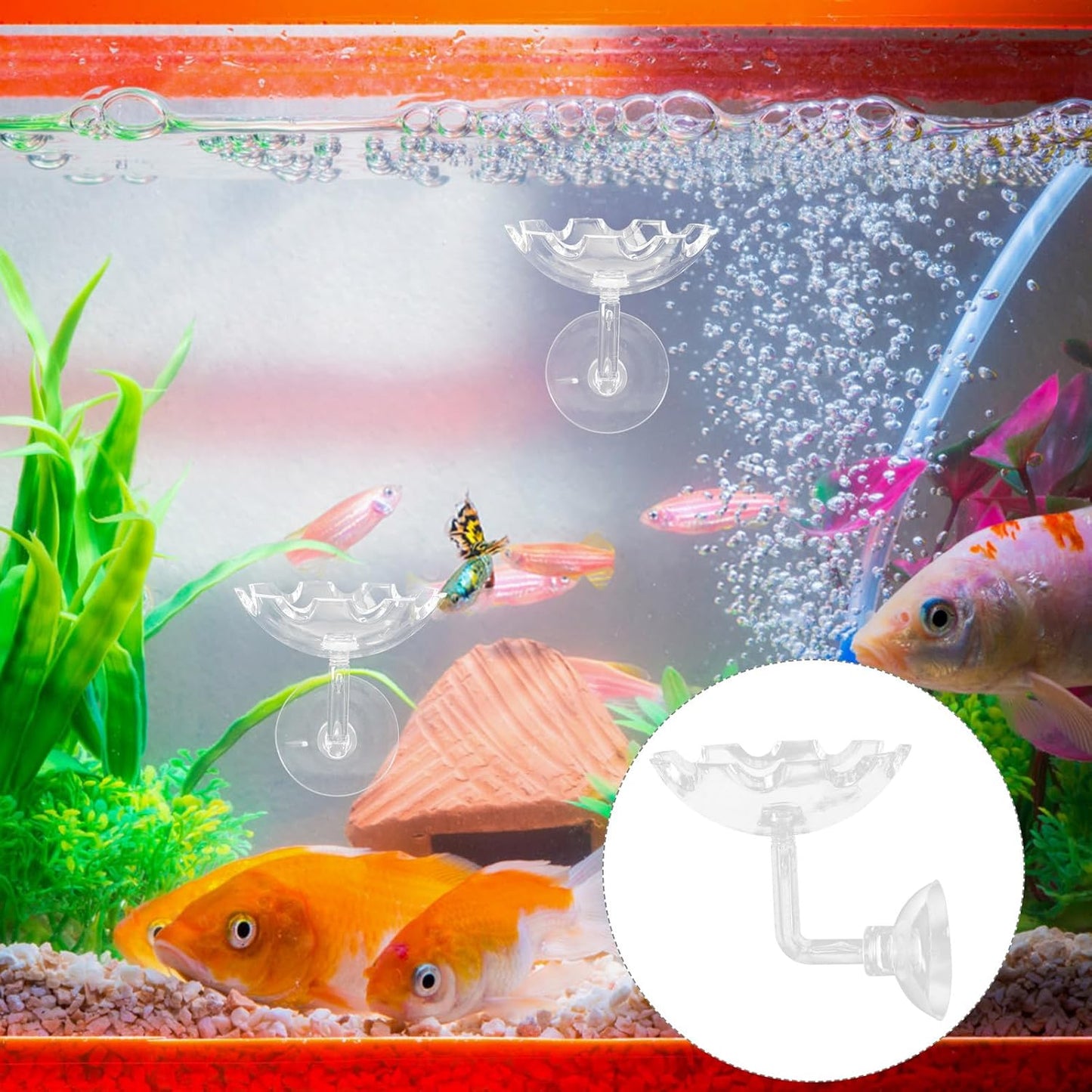 Shrimp Feeder Bowl with Sucker Fish Feeding Tray High Transparency Aquarium Feeding Dish Decorative Shrimp Food Basin for Fish Tank Aquatic Pets