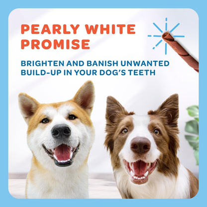 Beef Collagen Sticks for Dogs - One Ingredient Collagen Chews - Collagen Treats - Made in USA Collagen Dog Chews (TP-Collagen-10ct)