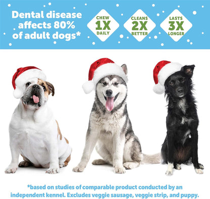 WHIMZEES Wellness Holiday Dog Dental Treats, Christmas Gift for Dogs, Size Medium Stick, (6 Count)