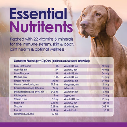 Dog Multivitamins Chewable Supplement - 22 in 1 Dog Vitamins for Itchy Skin & Coat, Immune System, Joints & Overall Health - Vitamins A, B, C, D, E, K & Antioxidants - 60 Chews - Beef Flavor