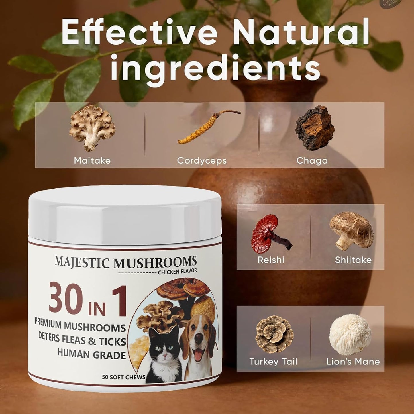 Majestic Mushrooms 30-in-1 Pet Soft Chews – Organic Mushroom Blend with Fish Oil & Coconut Oil, Chicken Flavor, Daily Wellness Treats for Dogs & Cats (50 Chews) (1pc)