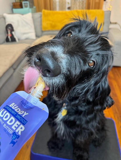 BUDDY BUDDER Bark Bistro Dog Lick Mat Set with Superberry Peanut Butter, Purple Enrichment Mat with Spatula, 4 oz Squeeze Pack