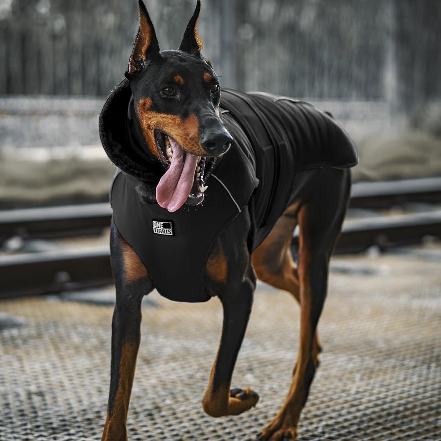 OneTigris Dog Coat Waterproof Dog Jacket with Adjustable Buckle Hook & Loop Windproof Cold Weather Coats for Small Medium Large Dogs (Black, X-Large)