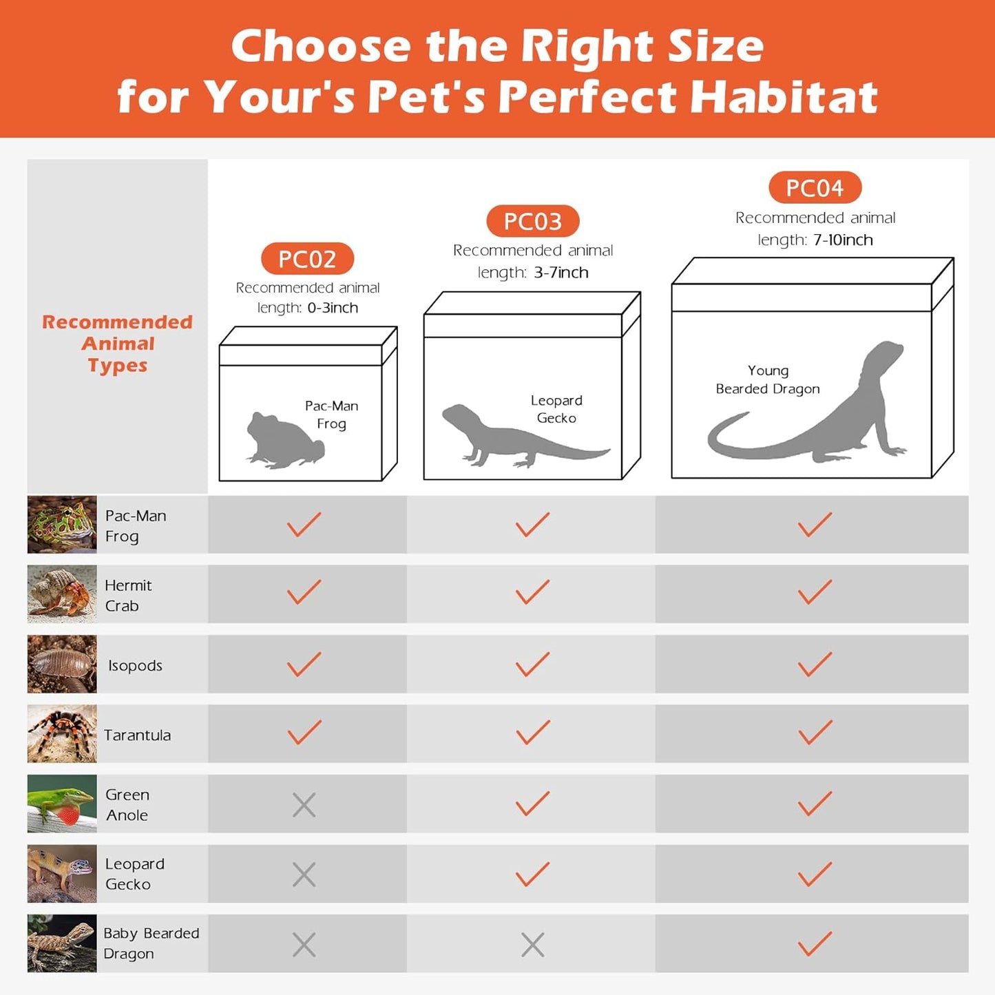 AZV Small Habitat Terrarium Enclosure, and Large Reptile Terrarium,Reptile Tank 15x8x10in Amphibian Isopod Tank Starter Kit with Bearded Dragon Hammock,Heat Lamp,Hide Cave for Geckos Lizard