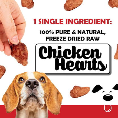 Freeze Dried Chicken Hearts for Dogs – Single Ingredient, High Protein, No Additives, Natural & Grain-Free Raw Dog Treats Natural – Ideal for Treats, Training & Rewarding – 3.75oz Bag
