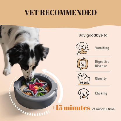 AVERYDAY Large 3-in-1 Slow Feeder Dog Bowls, Two 1.5 Cup Maze Dog Feeder Bowl Inserts, Anti-Slip Spiral Food Dish for Wet, Dry, Raw Food, Slow Down Eating Puzzle Feeding Bowl for Medium Large Dogs