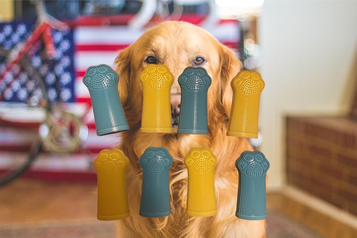 Dog Toothbrush PAW, 360 Tooth Brushing Kit, Cat Toothbrush, Dog Teeth Cleaning, Finger Tooth brush, Dental Care, Small & Large Pets, Toothpaste Not Included (Blue Yellow, 8 Count (pack of 8))