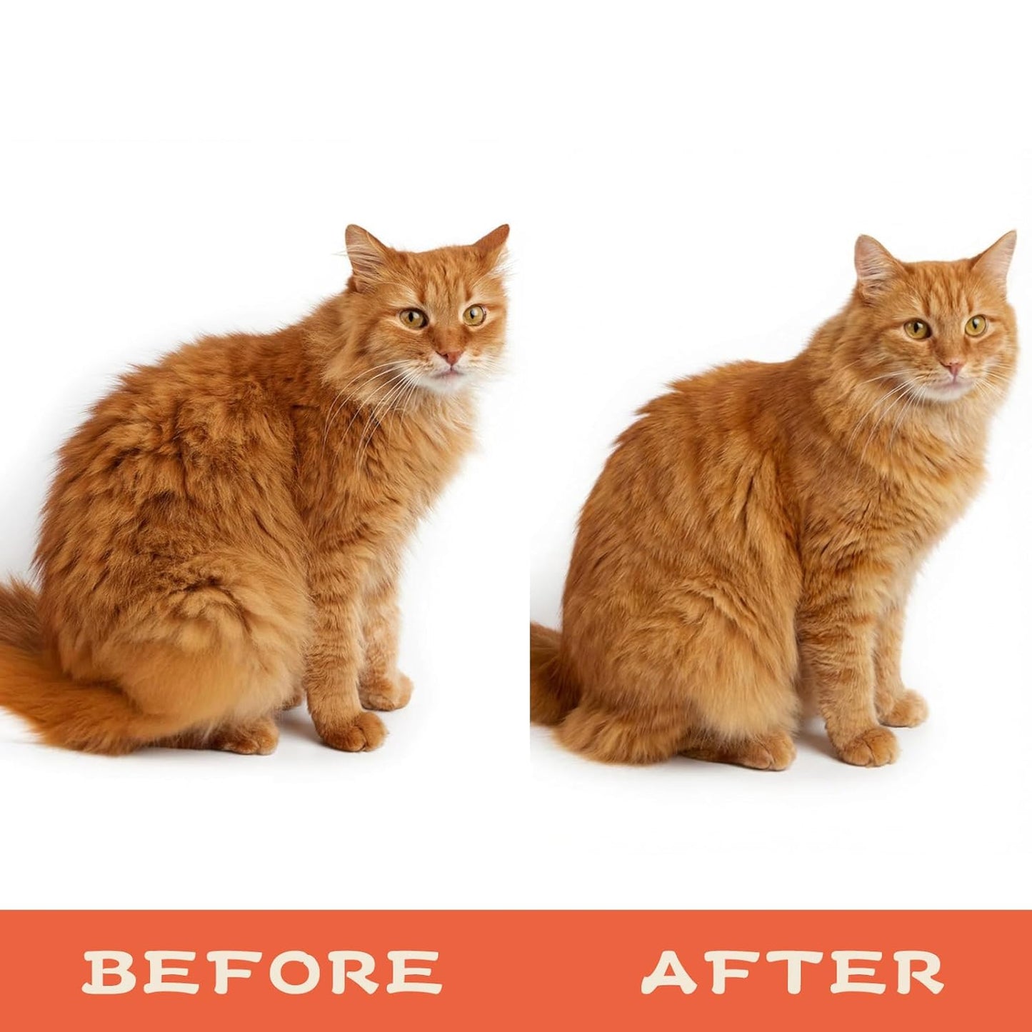 4Pcs Soft Cat Brush for Indoor Cats, Over 1000 Gentle Cat Tongue Brushes With Prickly Serrations, Lightweight Cats Grooming Brush for Daily Grooming & Enhancing Bonding, White