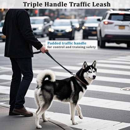 WYuZe 5ft Puppy Leash for Small Dogs + 7ft Triple Handle Dog Leash with Shock Absorbing for Large Medium Dogs