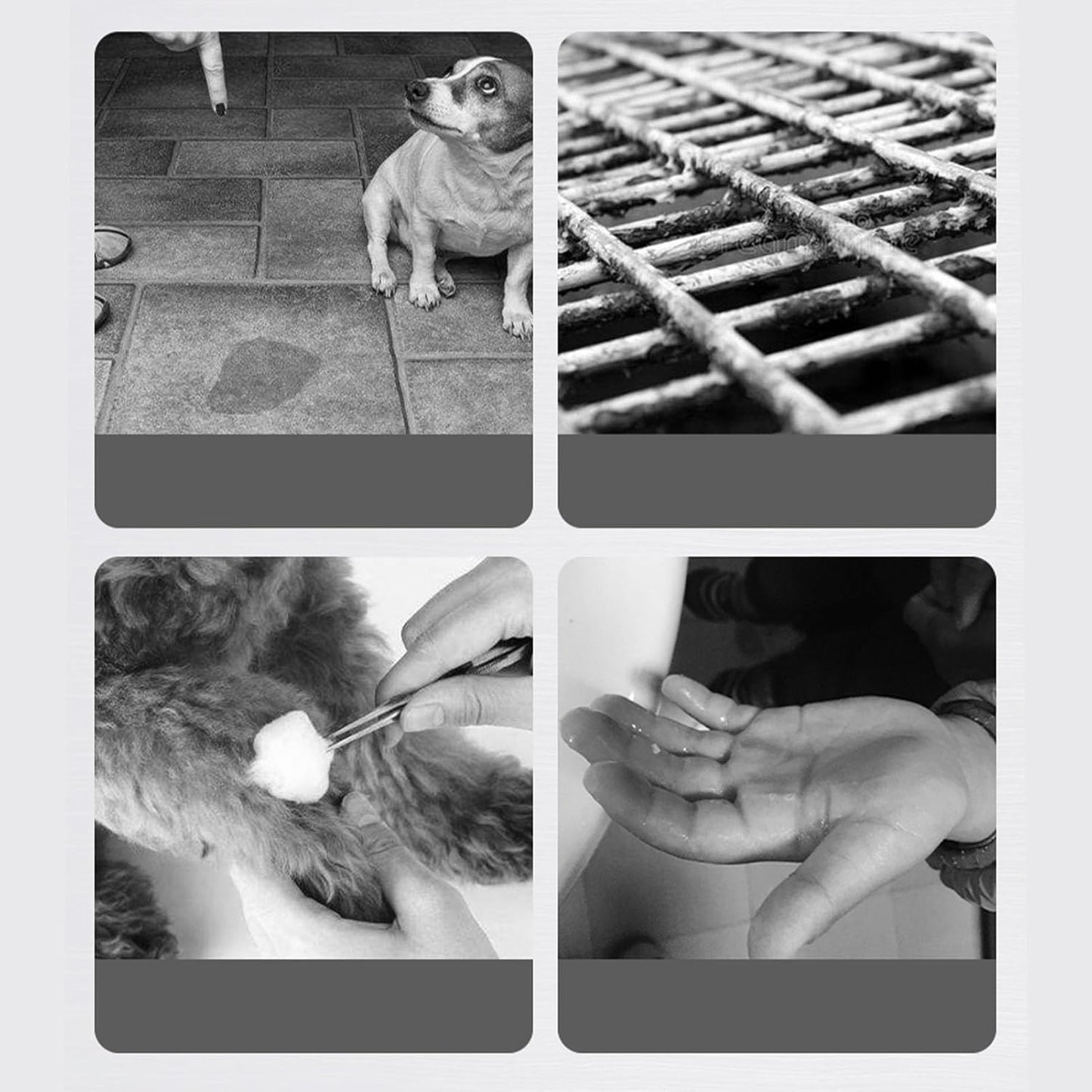 Dog Training Toilet, Reusable Iron Dog Potty Tray with Removable Wall for Small Medium Pets, Indoor Outdoor Pet Pad Holder (L)