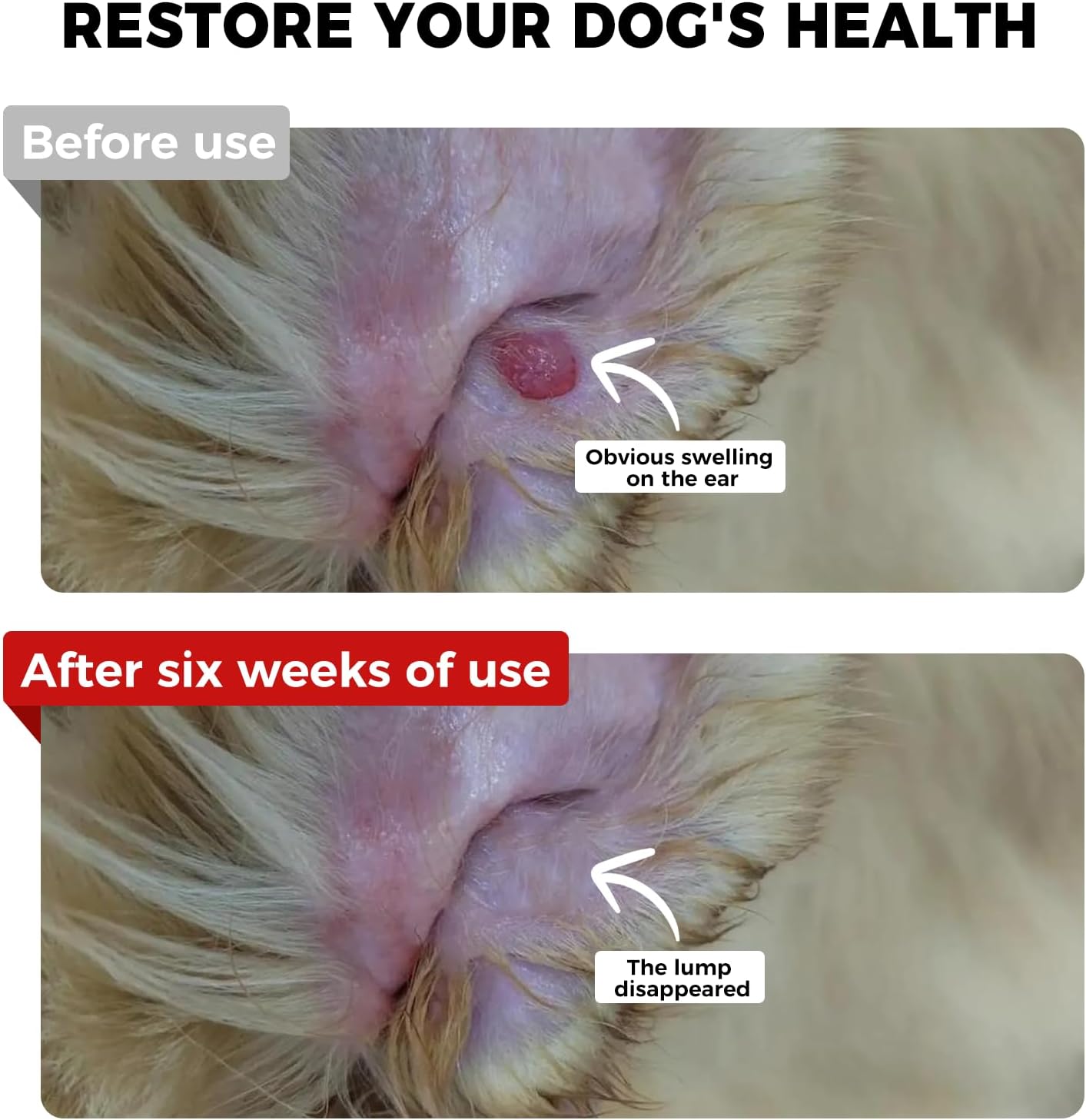 Dog Lumps and Bumps Supplement, Lipoma Treatment for Dogs - Immune Support Chews with Turkey Tail Mushroom, Reishi, Shiitake, Maitake, Curcumin & CoQ10 - Veterinarian formulated - 150 Chews