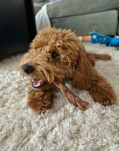 Redbarn Pet Products All-Natural 7" Braided Bully Sticks for Dogs - Premium Slow Roasted Long Lasting Chews Made with 100% Beef - Healthy Single Ingredient Low Odor - 8 Count - Packaging May Vary