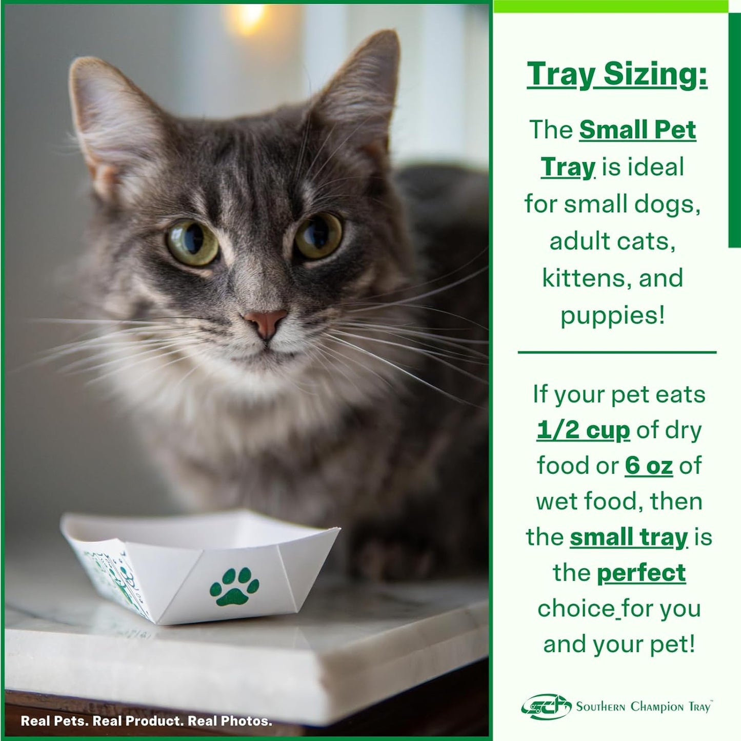 Southern Champion Tray, Small Disposable Pet Food Bowl, 1/2 Cup (10 Quantity) Pet Food Tray, Travel Pet Bowl, Feeding Kittens Puppies Cats and Dogs, Wet Food and Dry Food, 6 oz Capacity