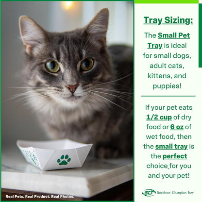 Southern Champion Tray, Small Disposable Pet Food Bowl, 1/2 Cup (10 Quantity) Pet Food Tray, Travel Pet Bowl, Feeding Kittens Puppies Cats and Dogs, Wet Food and Dry Food, 6 oz Capacity