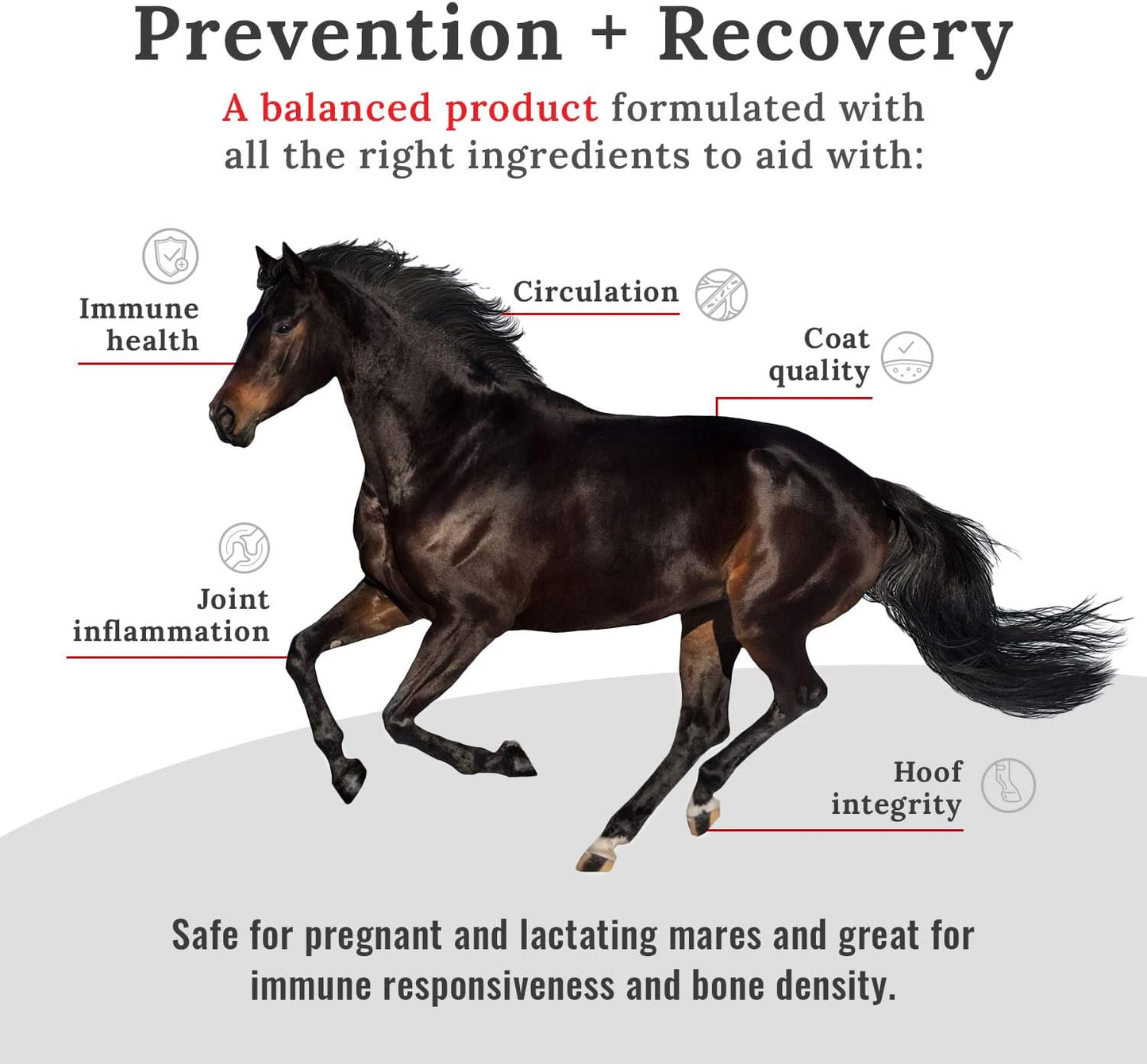 10# Mojo Horse Suppment with Food-Grade Mojo Dog and Cat Supplement