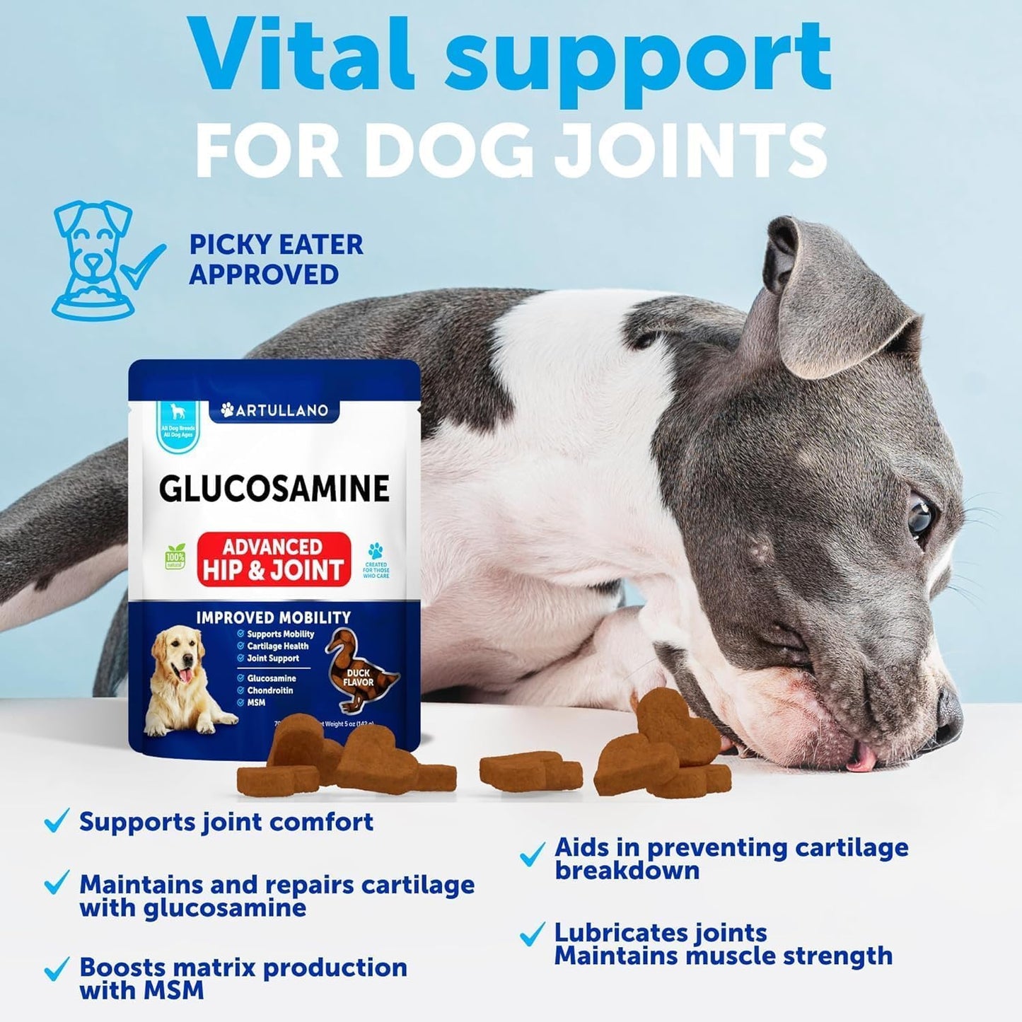20 in 1 Dog Multivitamin + Glucosamine Chews Bundle - Chewable Vitamins for Hip & Joint Support, Immunity, Mobility, Skin & Digestion - Chondroitin, MSM