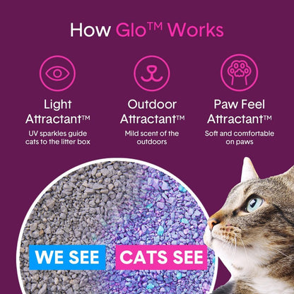 Boxie® Glo™ 30 Day Odor Control Non-Clumping Crystal Cat Litter, 6 lb, Natural Attractions, UV Light Attractant, Soft Granules, 99.9% Dust-Free, Long-Lasting for Multi-Cat Homes